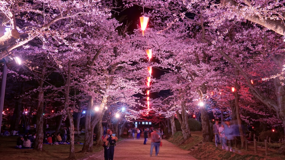 千秋公園の写真 ©掬茶(CC BY-SA 4.0)