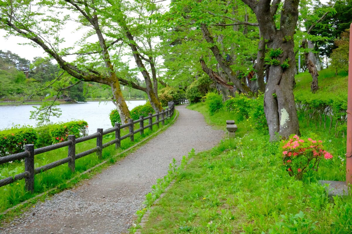 盛岡高松公園(エコアス広場)の写真 