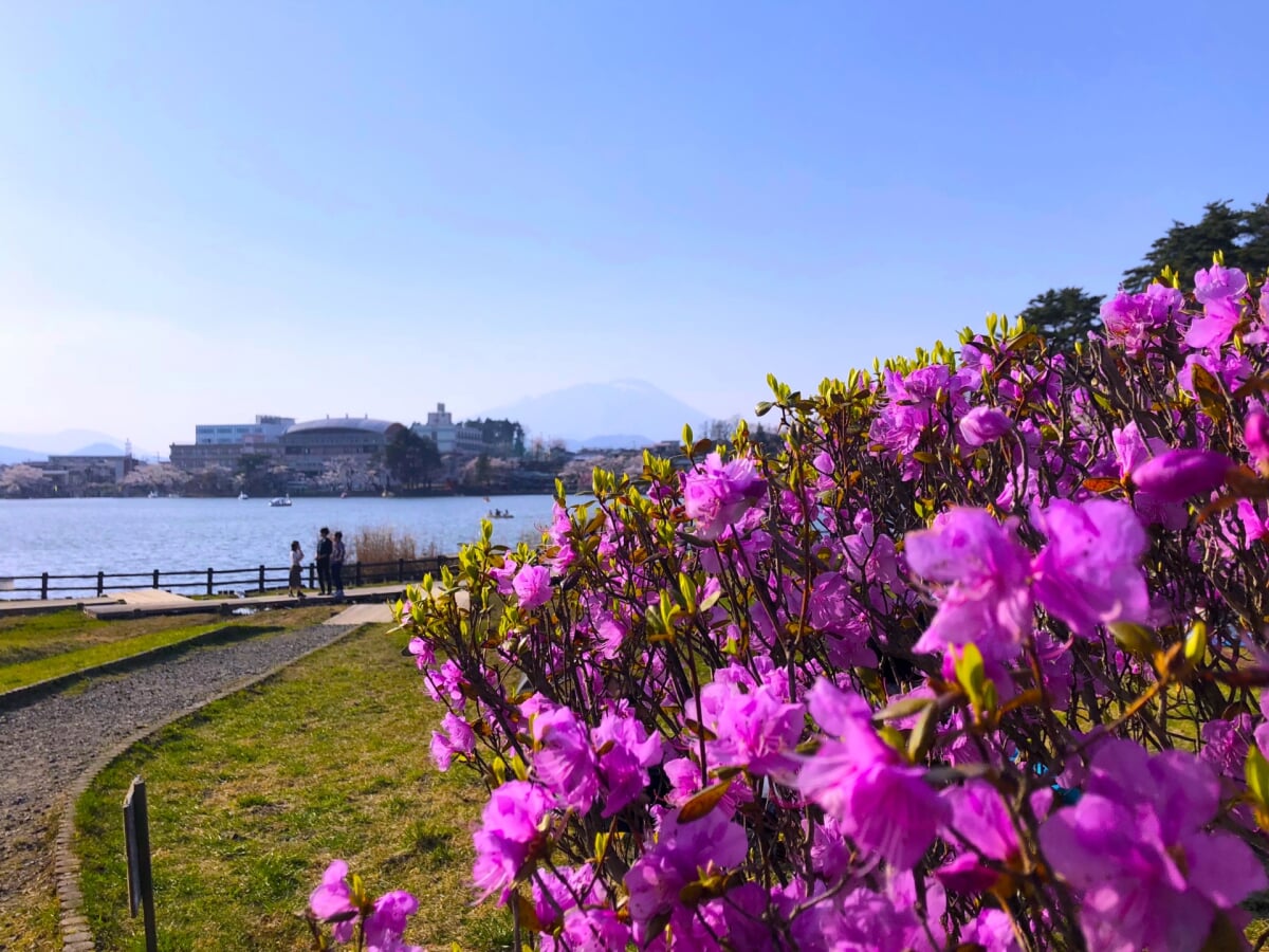 盛岡高松公園(エコアス広場)の写真 