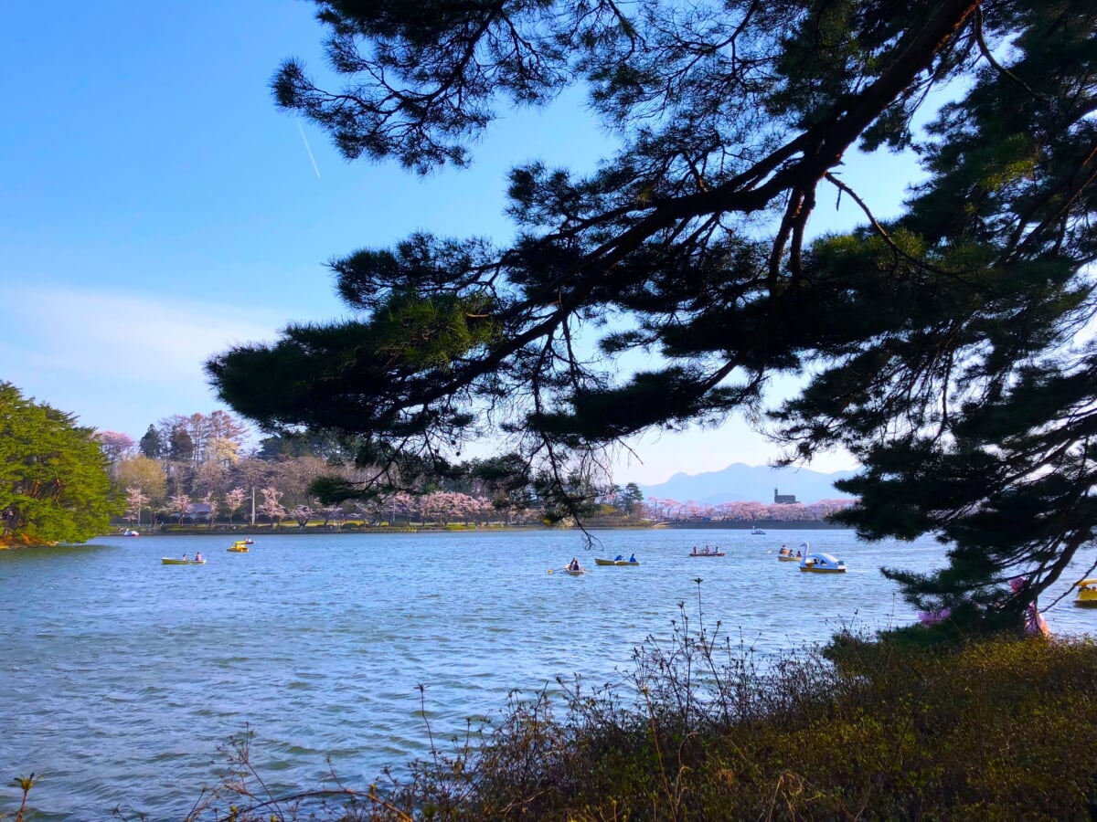 盛岡高松公園(エコアス広場)の写真 