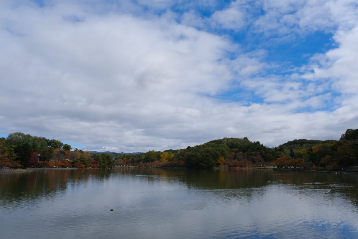 盛岡高松公園(エコアス広場)の写真 