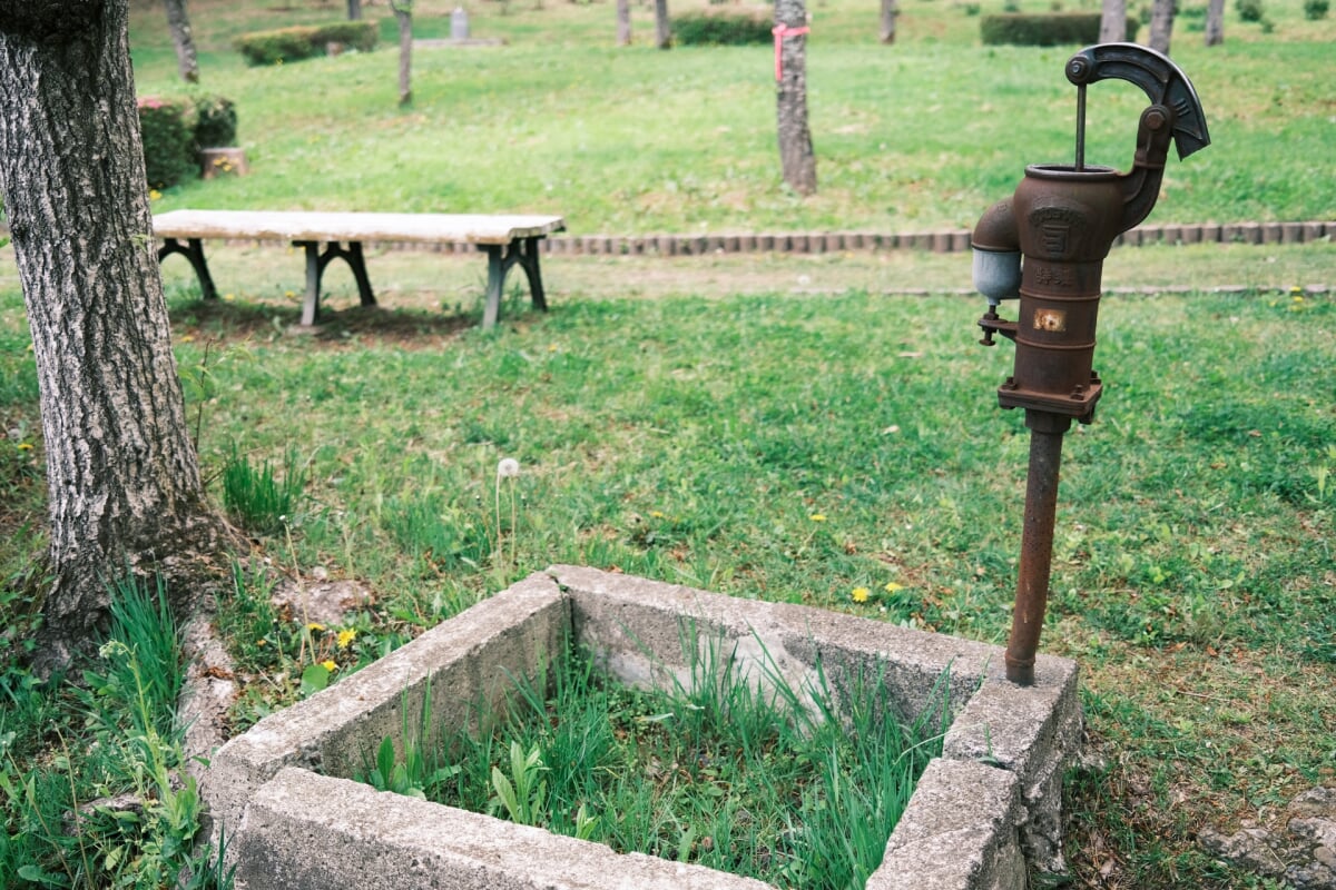 盛岡高松公園(エコアス広場)の写真 