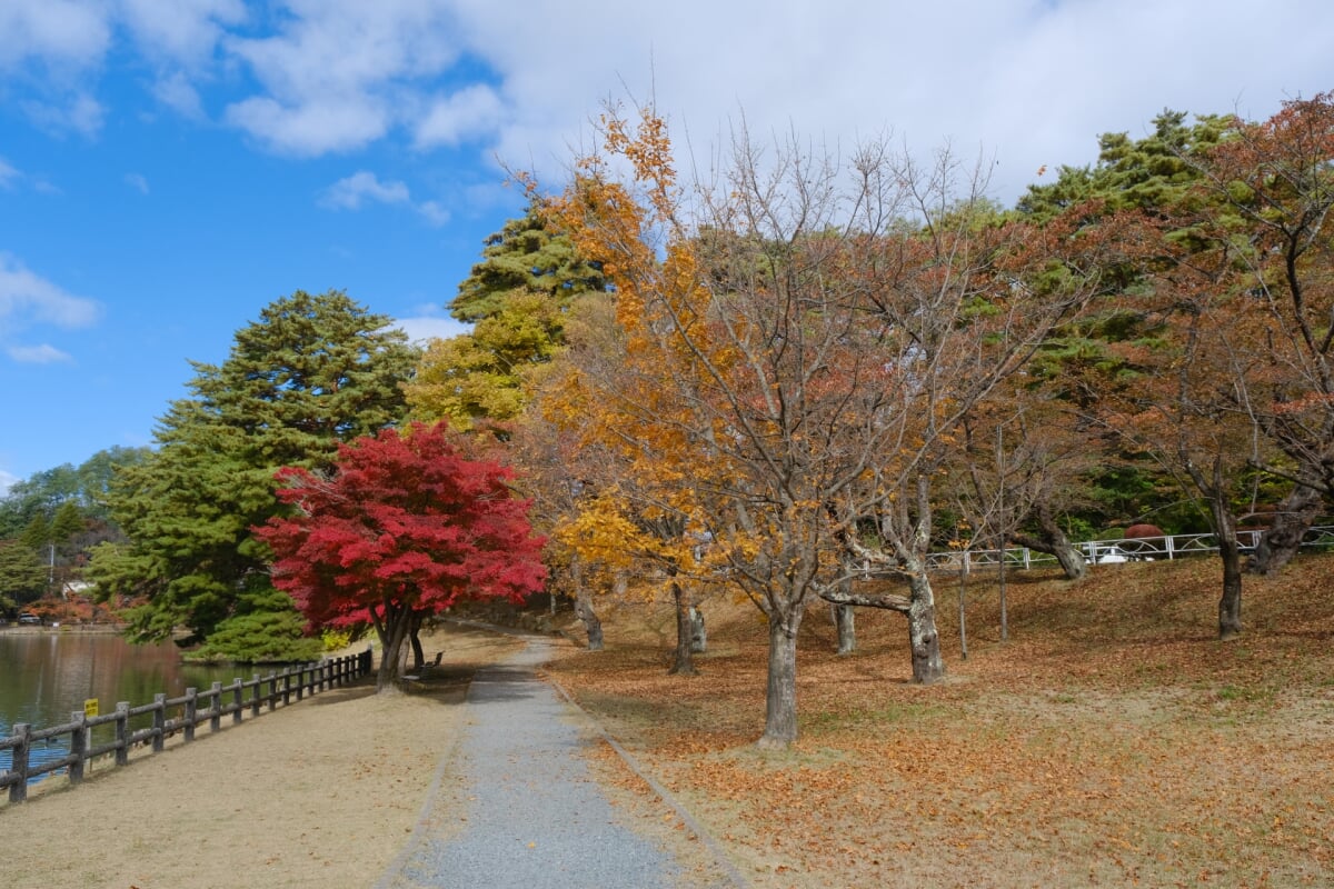 盛岡高松公園(エコアス広場)の写真 