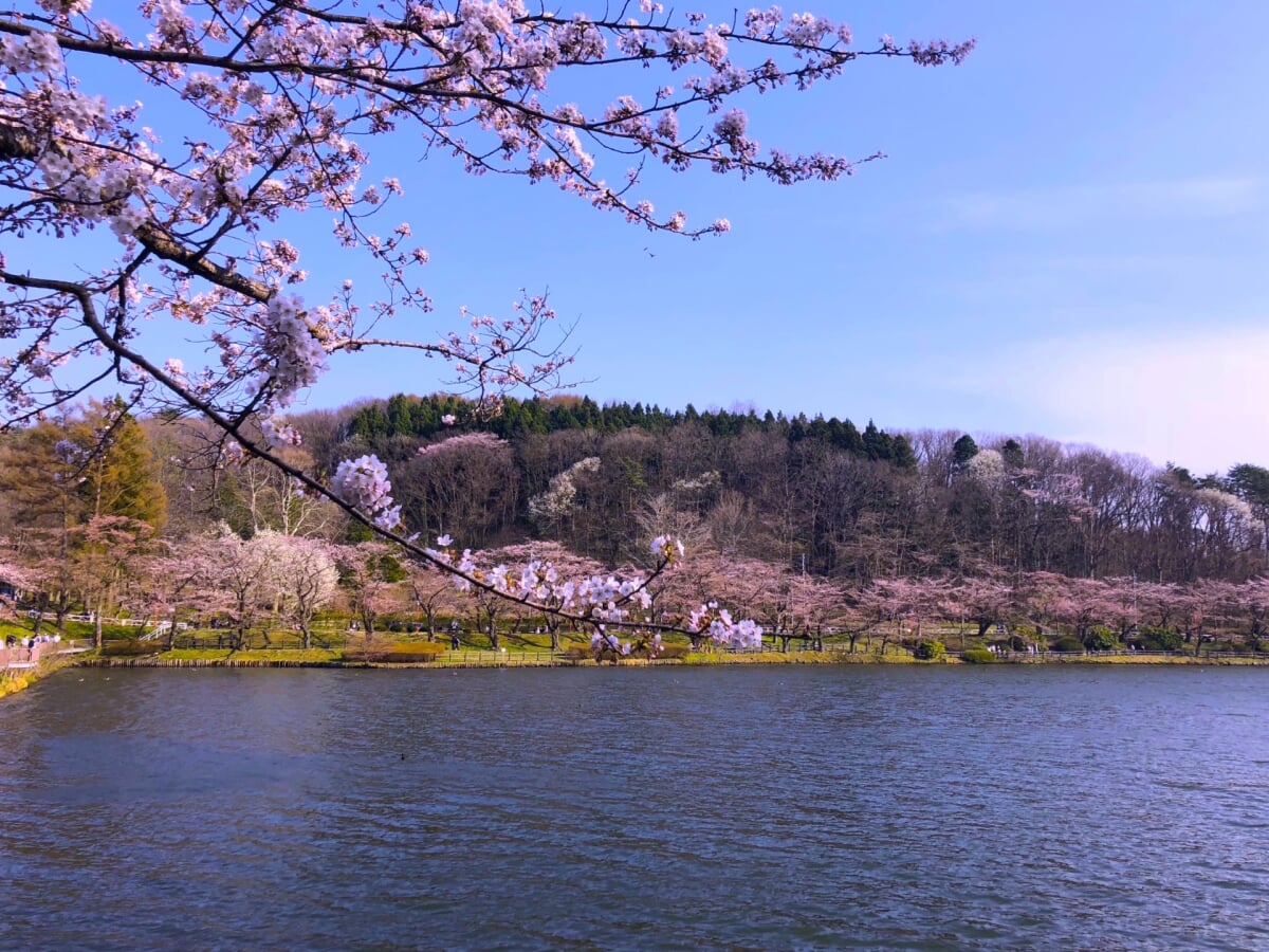 盛岡高松公園(エコアス広場)の写真 