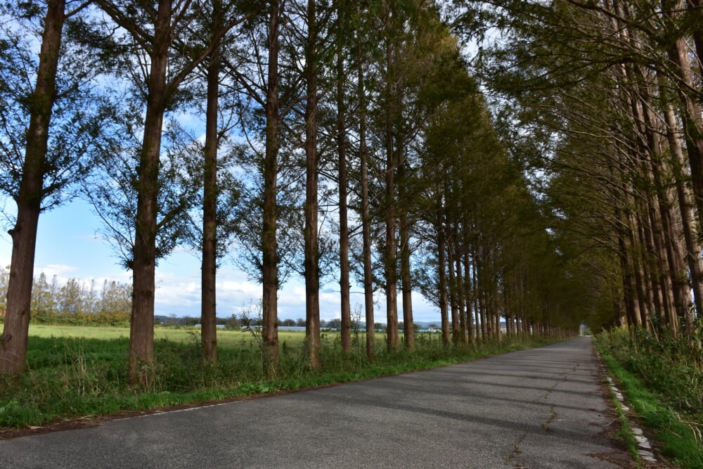 河北潟の写真 