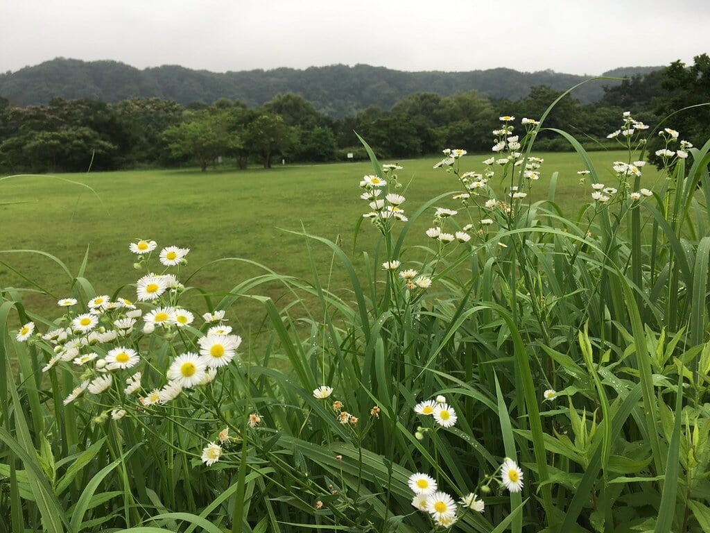 拝島自然公園の写真 ©Mikhail+Kotykhov(CC BY 2.0)