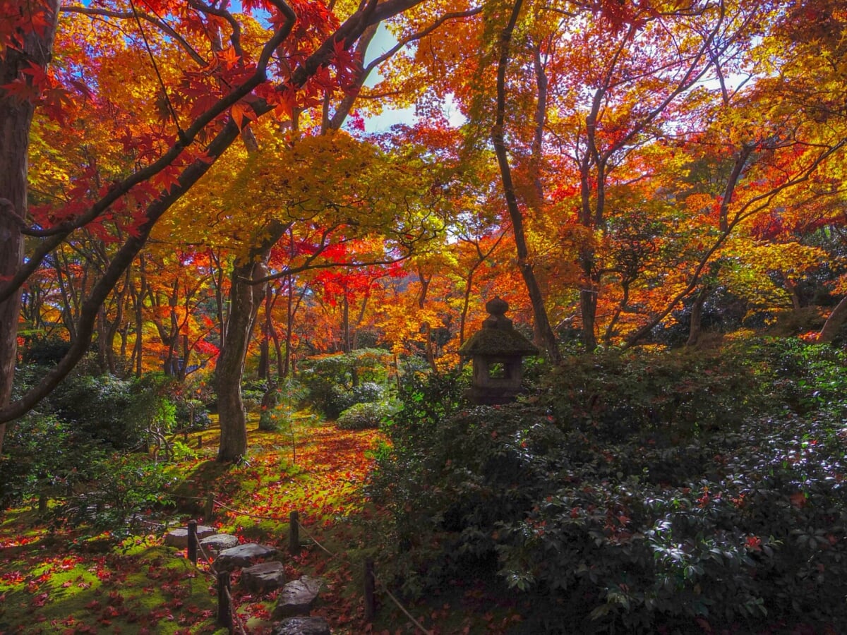 大河内山荘庭園の写真 