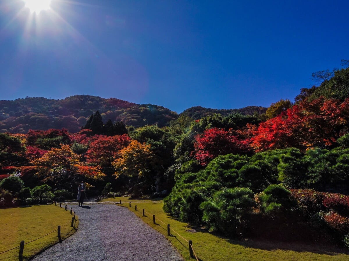 大河内山荘庭園の写真 