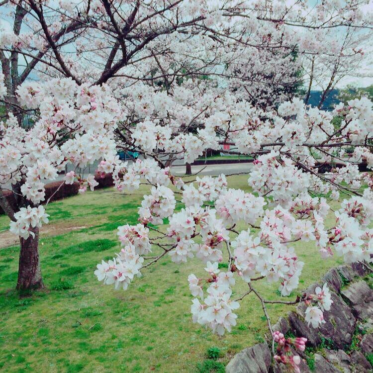 青垣総合運動公園 グリーンベル青垣・温水プールの写真 ©sukitamba(CC BY 2.0)