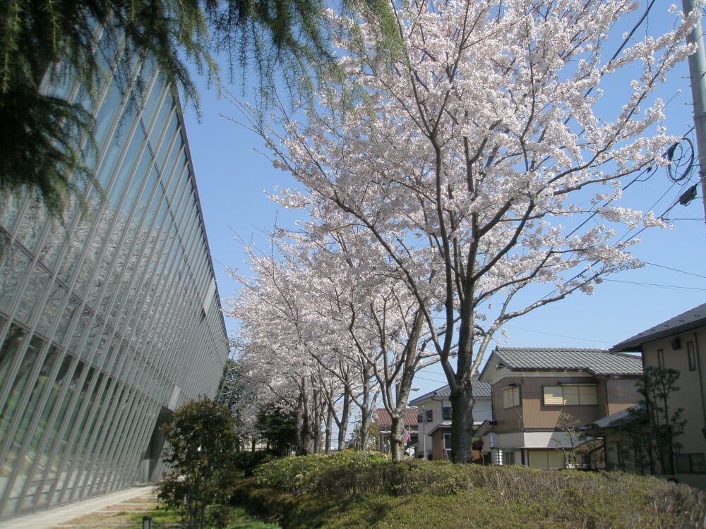 千葉市中央図書館の写真 ©掬茶(CC BY-SA 3.0)