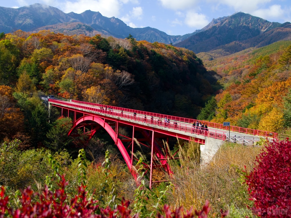 東沢大橋の写真 ©Hiroaki Kaneko(CC BY-SA 3.0)