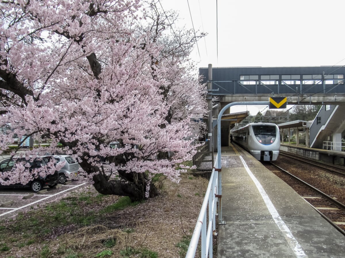 能登さくら駅の写真 