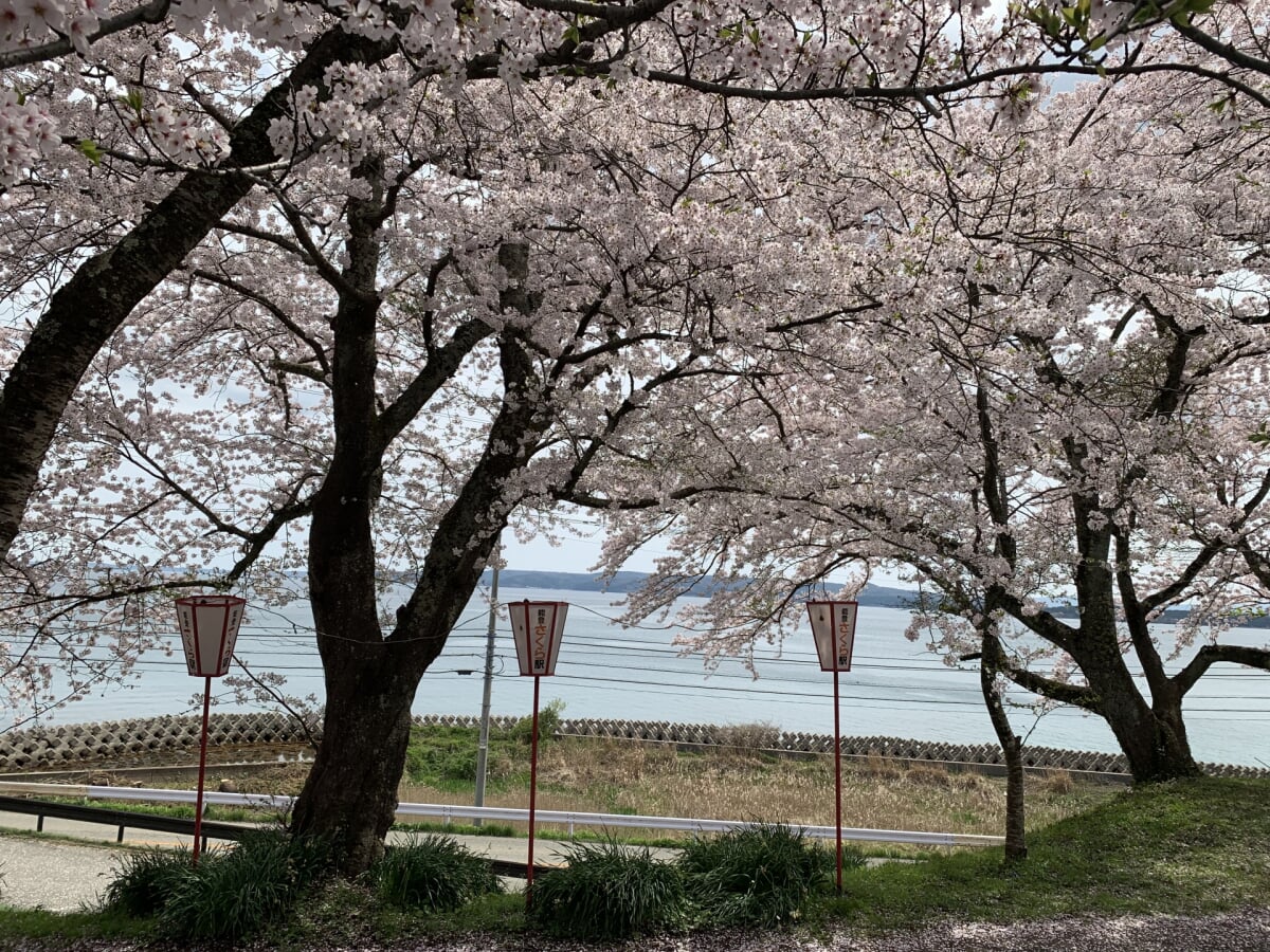 能登さくら駅の写真 