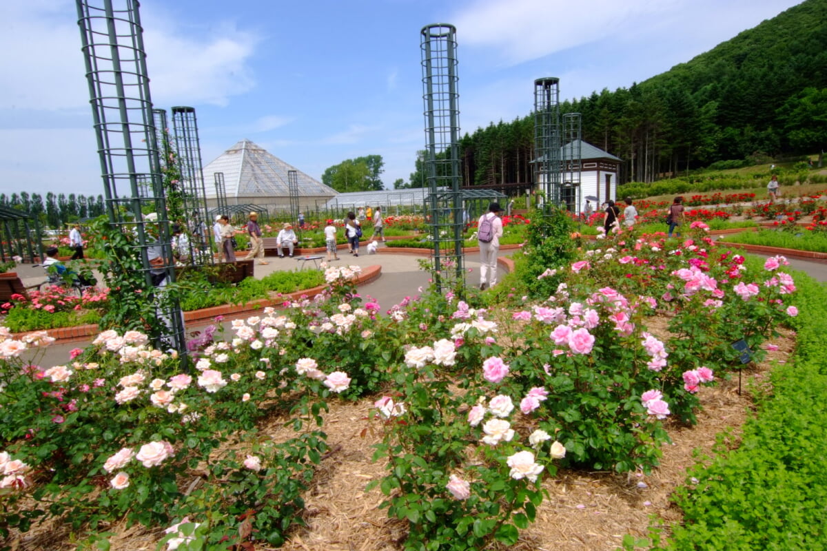 いわみざわ公園の写真 ©t-konno(CC BY-SA 3.0)