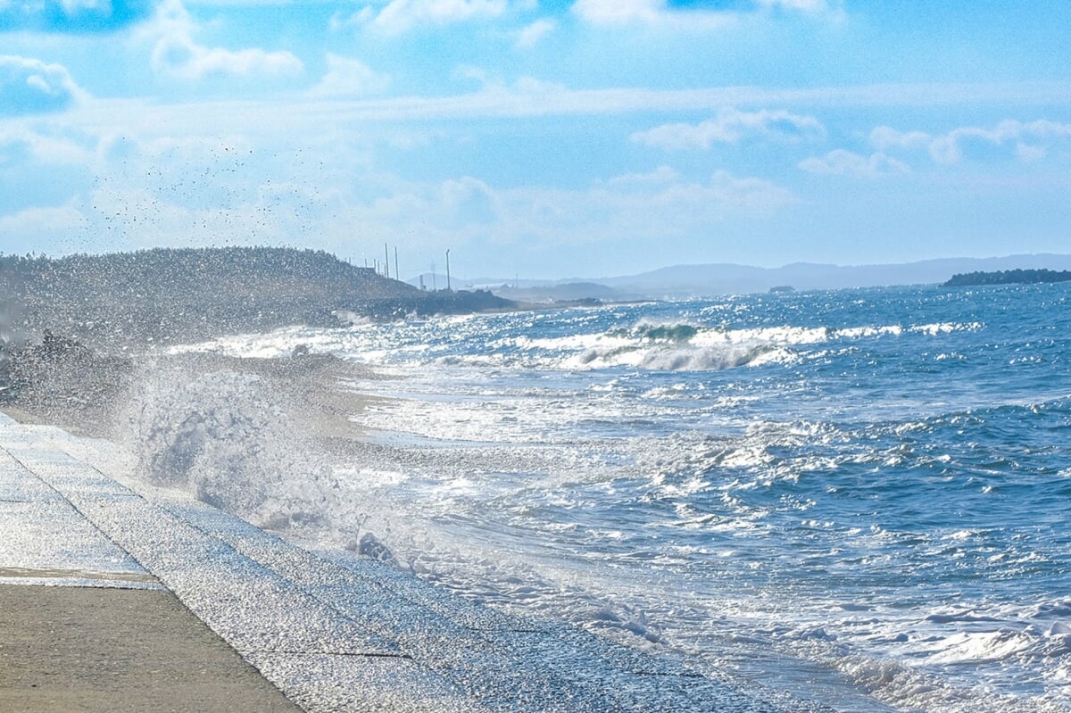 安宅海浜公園の写真 