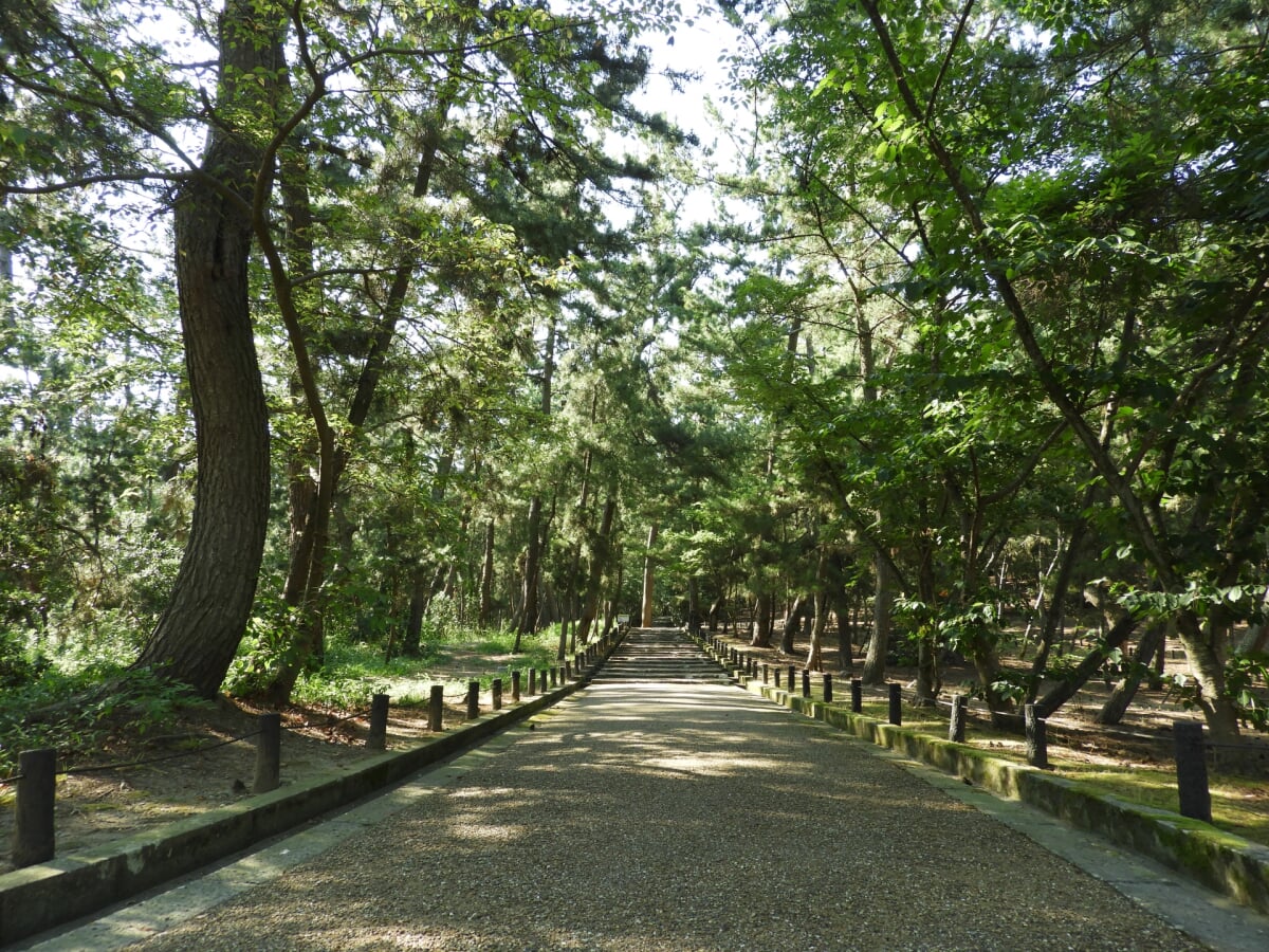 安宅海浜公園の写真 