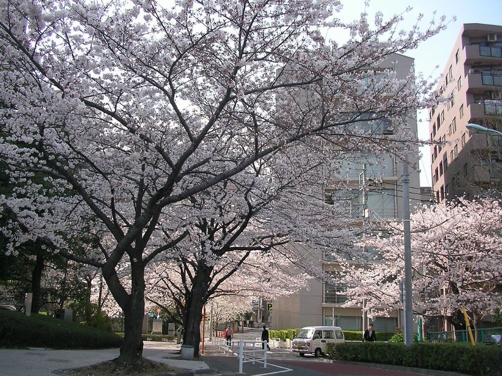 新川公園の写真 ©jetalone(CC BY 2.0)