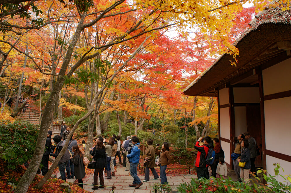 常寂光寺の写真 ©663highland(CC-BY-SA-3.0)