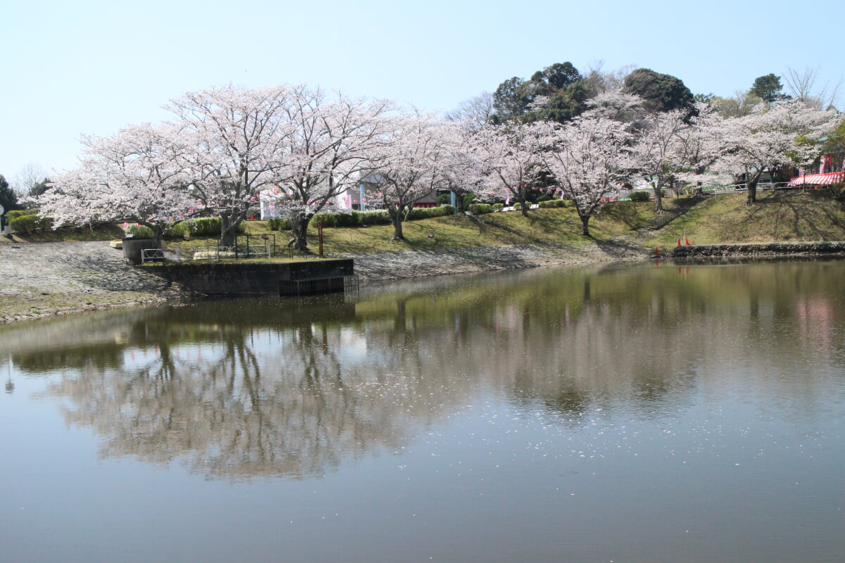 つま恋リゾート 彩の郷の写真 ©観光・CP課(CC BY 4.0)