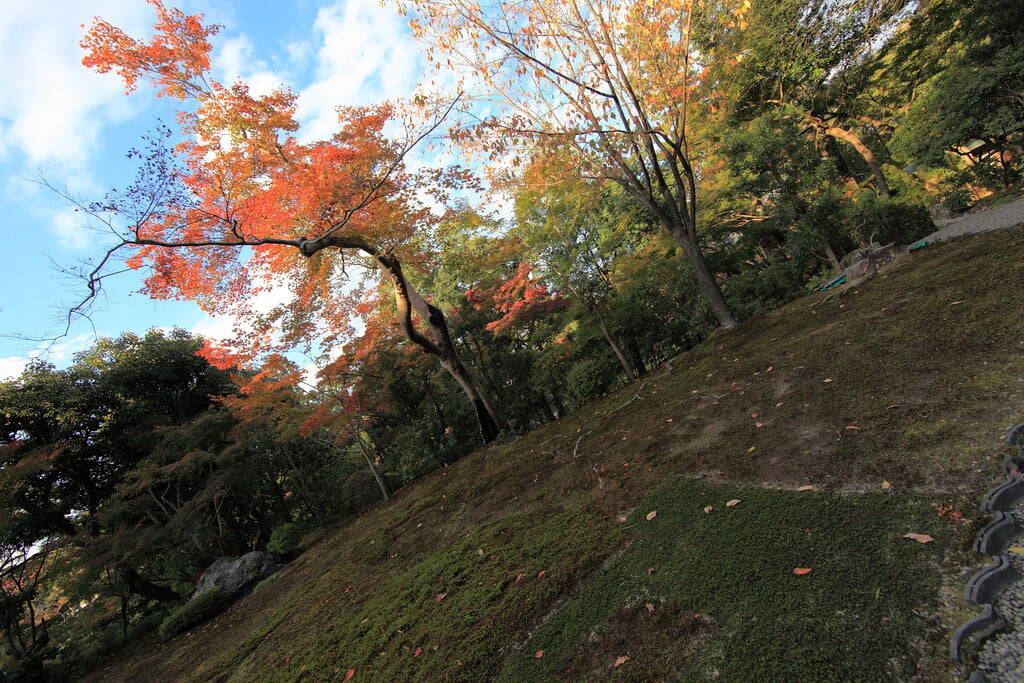 吉城園の写真 ©TANAKA Juuyoh (田中十洋)(CC BY 2.0)