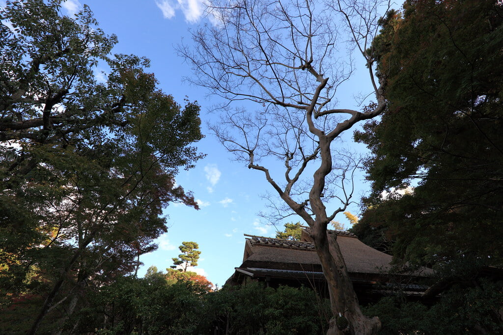 吉城園の写真 ©TANAKA Juuyoh (田中十洋)(CC BY 2.0)