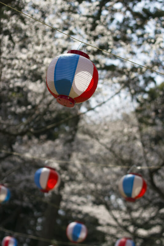 若山神社の写真 ©Japanexperterna.se(CC BY-SA 2.0)