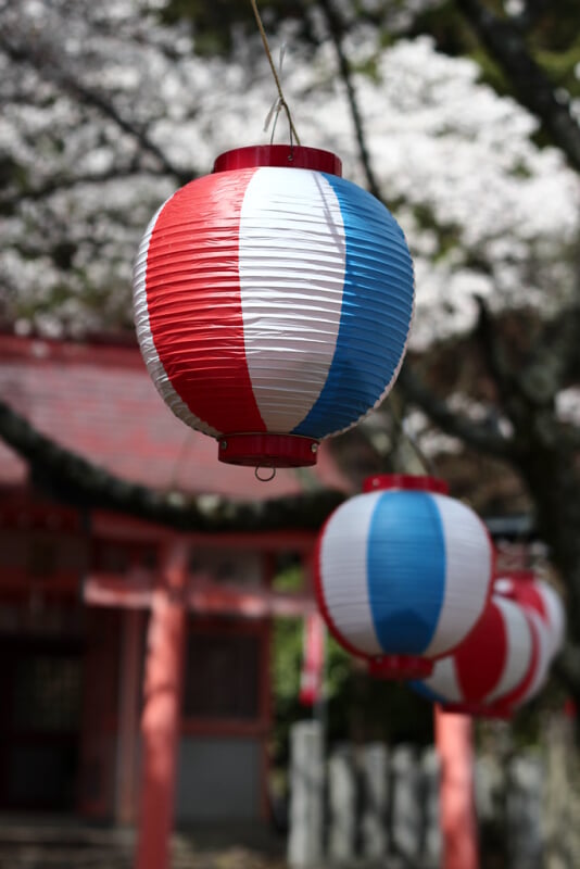 若山神社の写真 ©Japanexperterna.se(CC BY-SA 2.0)