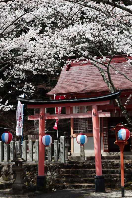 若山神社の写真 ©Japanexperterna.se(CC BY-SA 2.0)