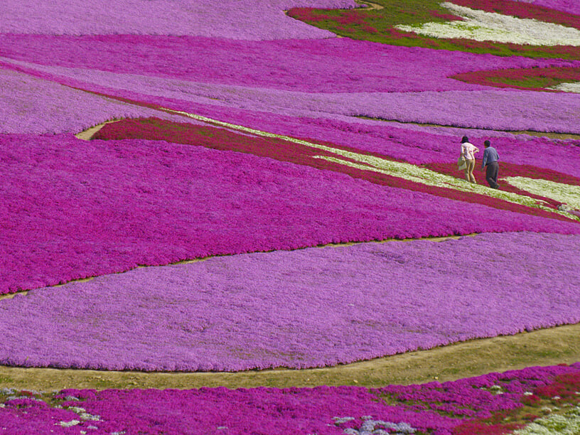 大森リゾート村の写真 ©tsushima(CC BY 3.0)