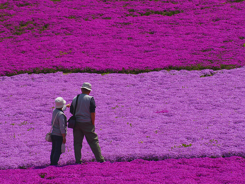 大森リゾート村の写真 ©tsushima(CC BY 3.0)