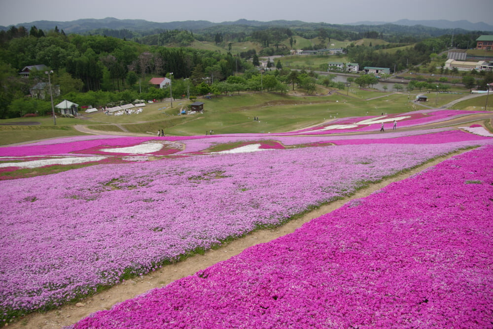 大森リゾート村の写真 ©Ocavis Leechroot(CC BY 3.0)