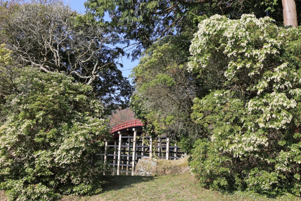 丹生都比売神社の写真 