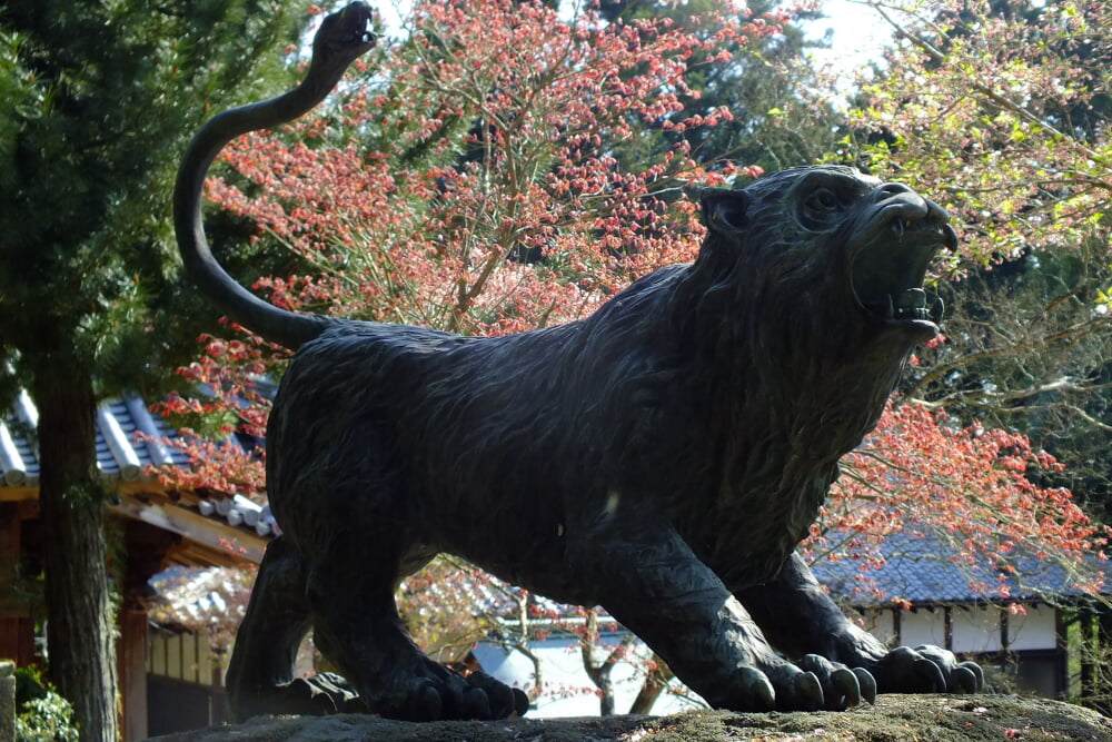 長明寺の写真 ©松岡明芳(CC BY-SA 4.0)