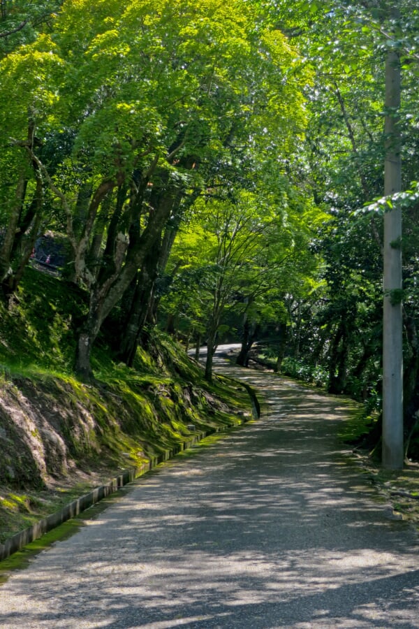 王地山公園の写真 