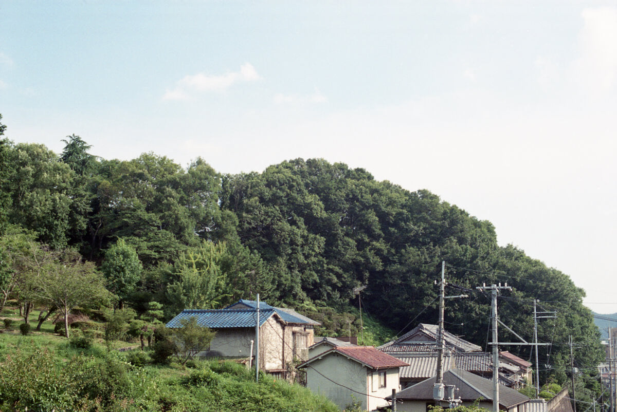 童子山公園の写真 ©shikabane taro(CC BY 3.0)