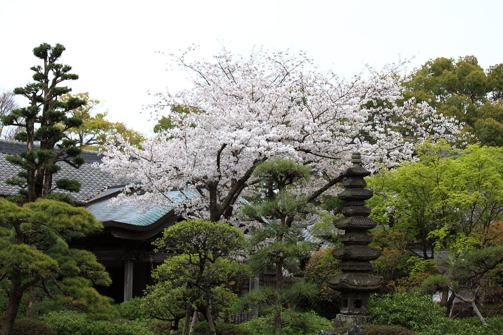 本妙寺の写真 ©TANAKA Juuyoh (田中十洋)(CC BY 2.0)