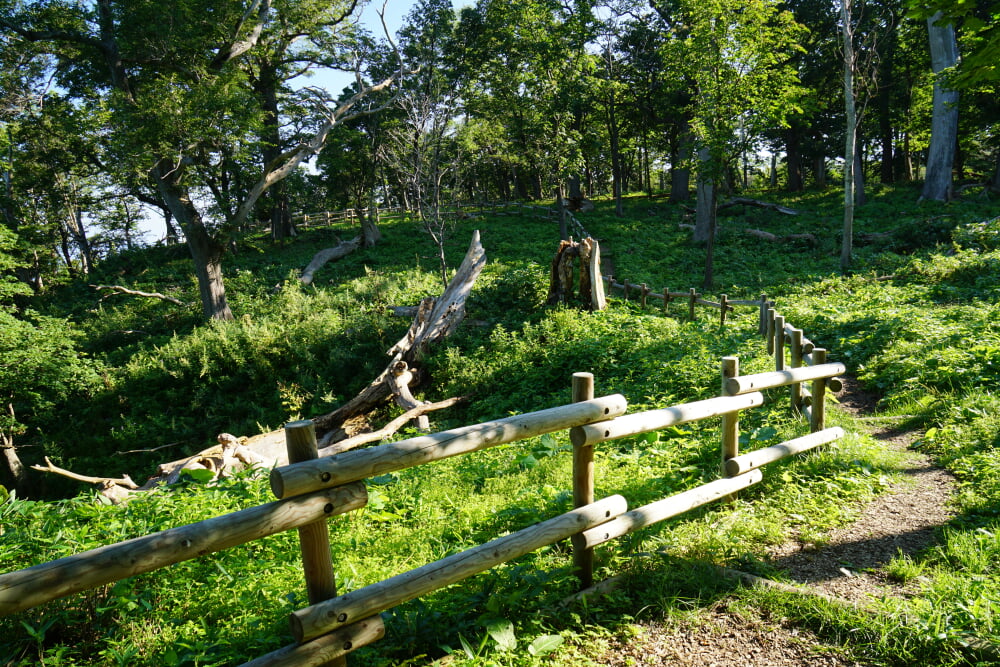 国設知床野営場の写真 ©663highland(CC-BY-SA-3.0)