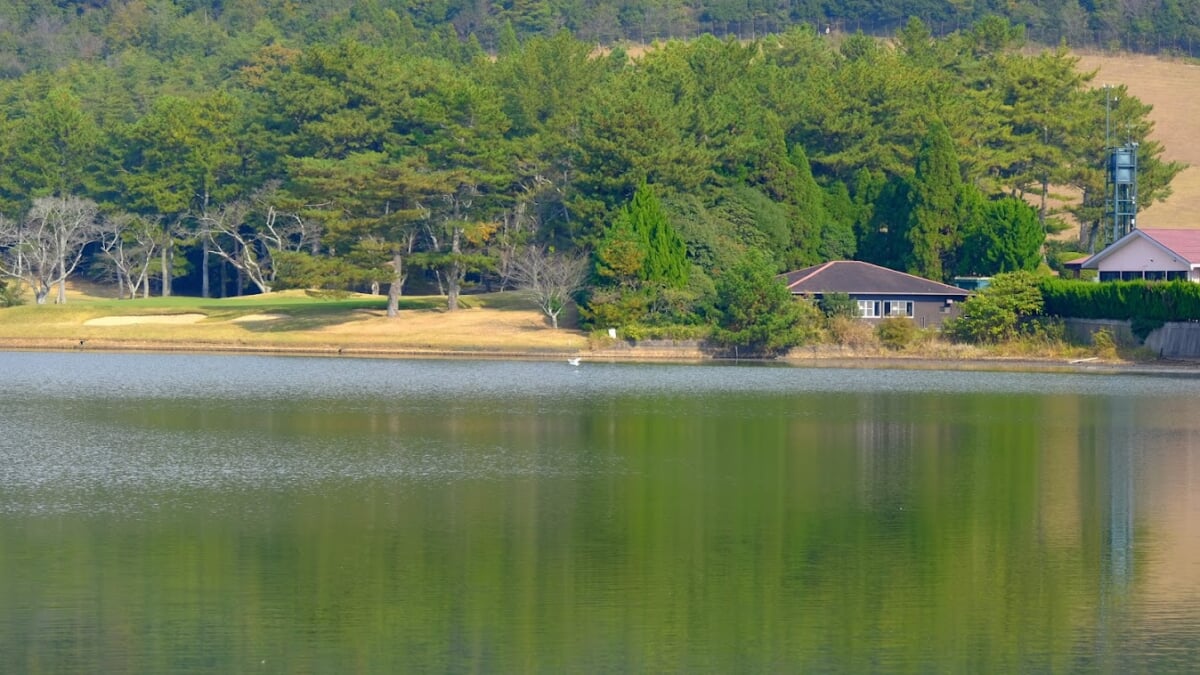 鴨池公園の写真 