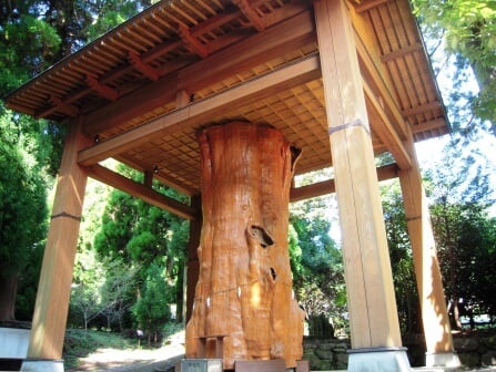 国造神社の写真 ©Simasakon(CC BY-SA 3.0)