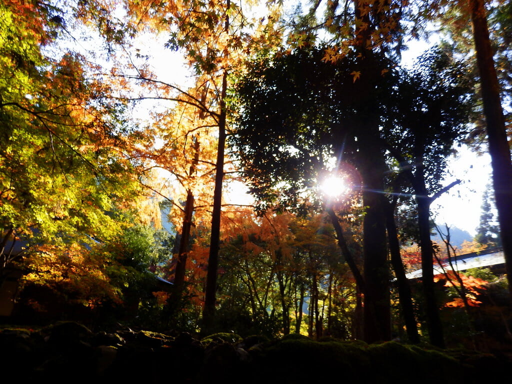 高山寺の写真 ©izunavi(CC BY 2.0)