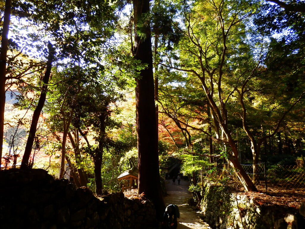 高山寺の写真 ©izunavi(CC BY 2.0)