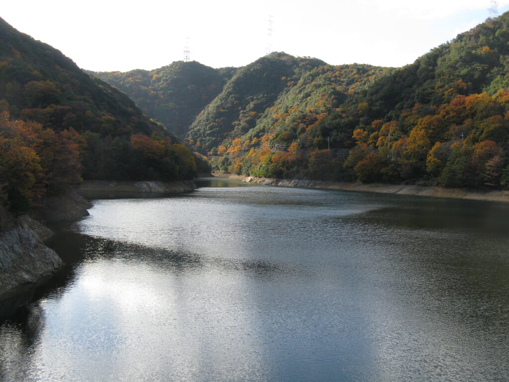 永楽ダムの写真 ©KENPEI(CC BY 3.0)