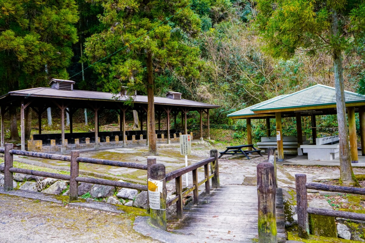 太宰府市民の森の写真 