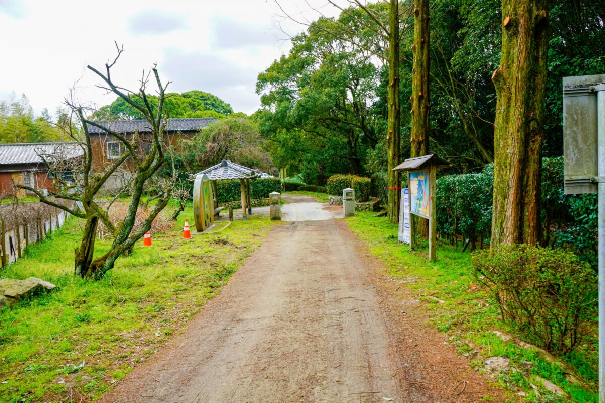 太宰府市民の森の写真 