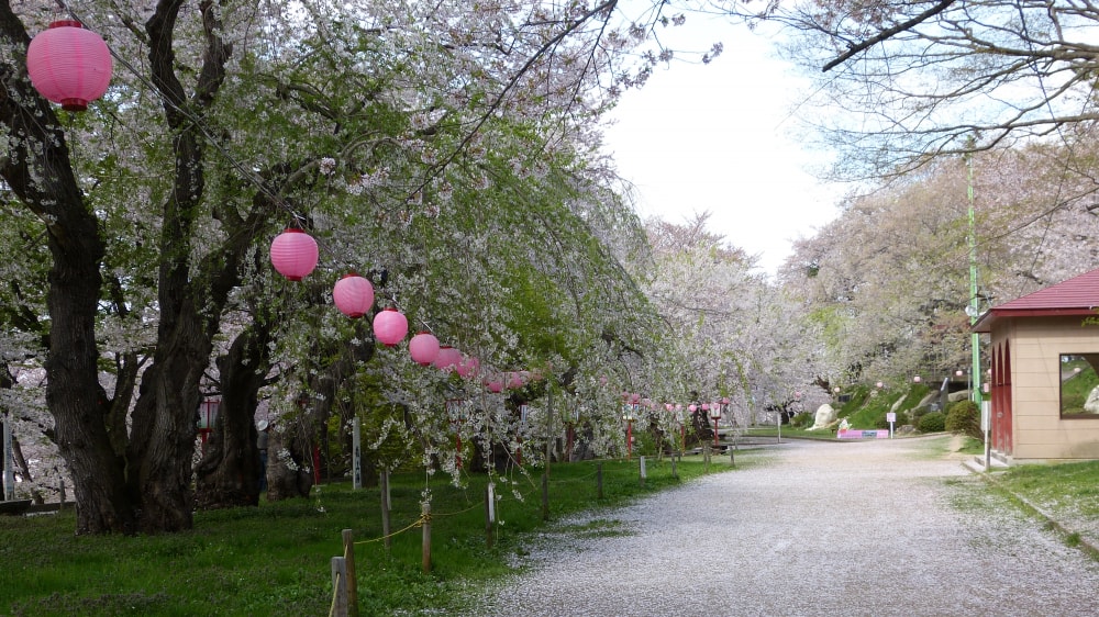 烏帽子山公園の写真 ©アラツク(CC BY-SA 4.0)