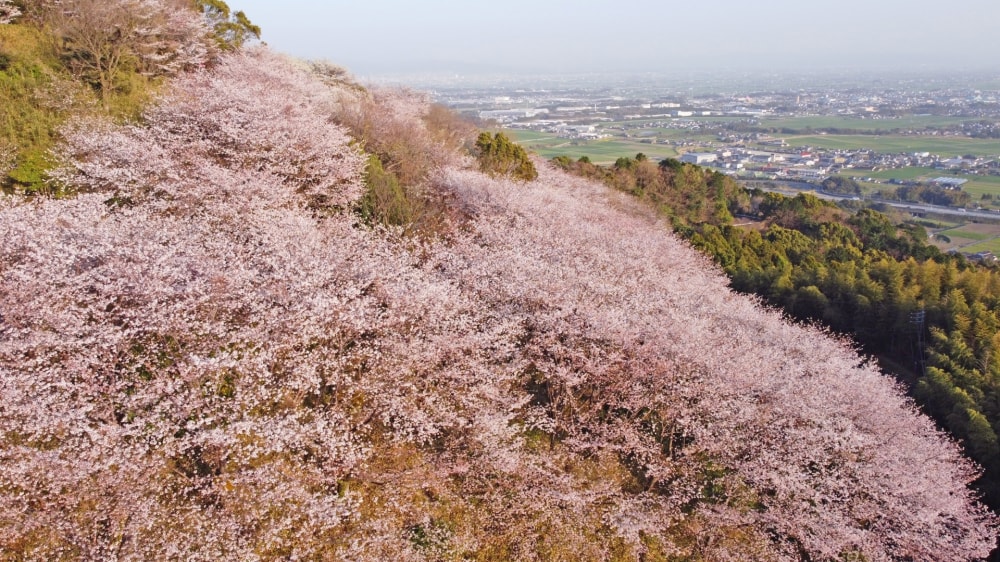 村制100周年記念塔の写真 