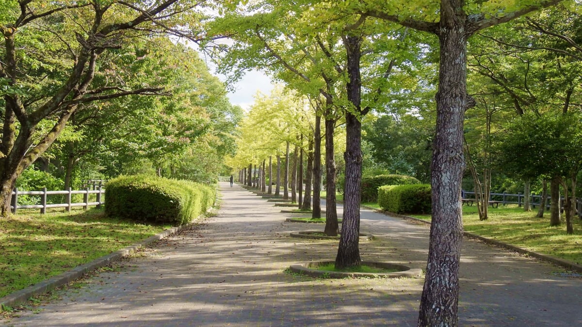 海の見える丘公園の写真 