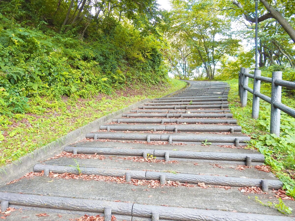 海の見える丘公園の写真 