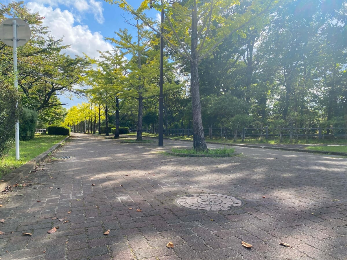 海の見える丘公園の写真 