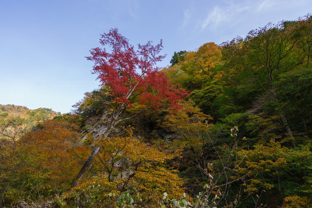 中津峡の写真 ©wellflat1985(CC BY 2.0)